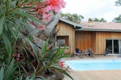 maison avec piscine et espace farniente cap ferret