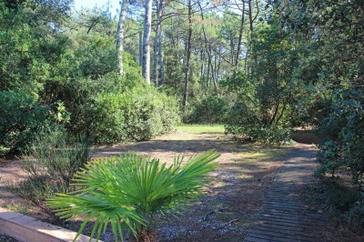 Grand terrain villa pyla sur mer