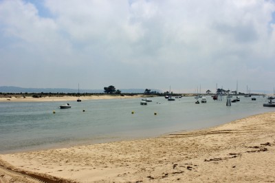 Appartement avec terrasse et vue bassin à vendre CAP FERRET LE MIMBEAU 