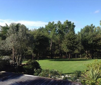 maison grand espace grand terrain teste de buch