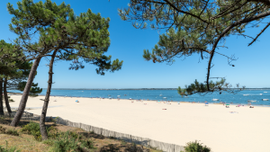 Les plus belles plages d'Arcachon