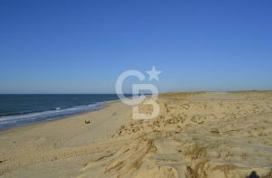 Les plages du Cap-Ferret